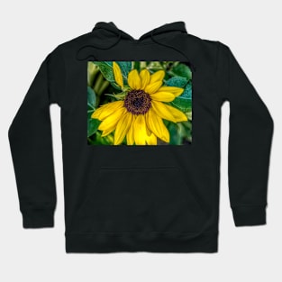 Broken flower pedal illustration Hoodie